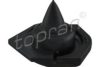 RENAU 552400003R Spring Cap